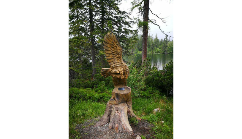 Hotel CROCUS **** Vysoké Tatry